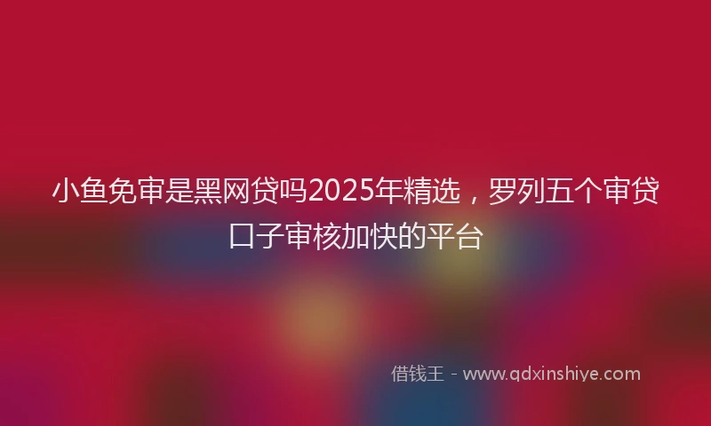 小鱼免审是黑网贷吗2025年精选，罗列五个审贷口子审核加快的平台