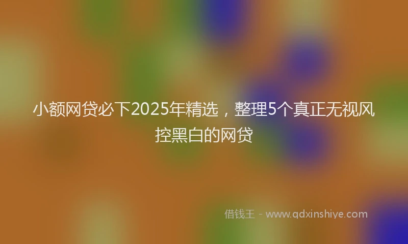小额网贷必下2025年精选，整理5个真正无视风控黑白的网贷