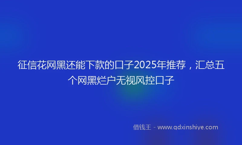 征信花网黑还能下款的口子2025年推荐，汇总五个网黑烂户无视风控口子