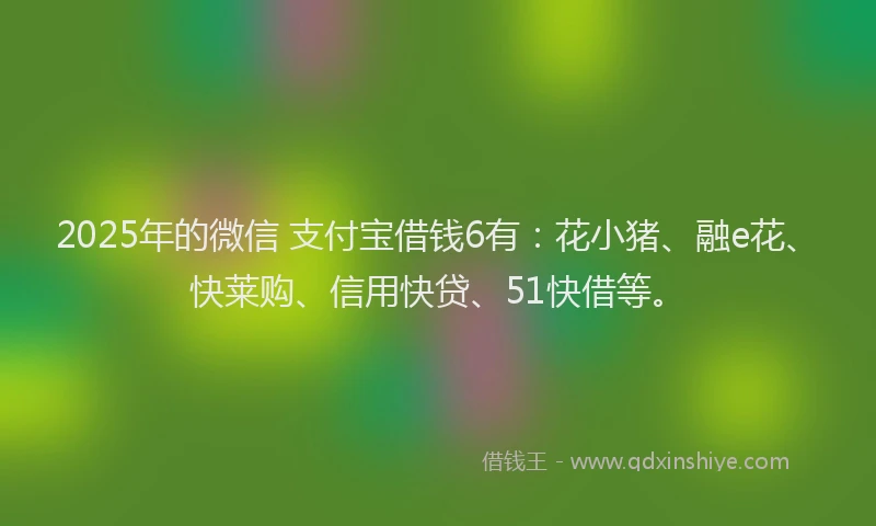2025年的微信 支付宝借钱6有：花小猪、融e花、快莱购、信用快贷、51快借等。