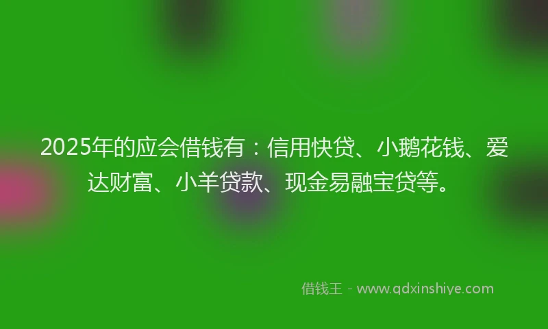 2025年的应会借钱有：信用快贷、小鹅花钱、爱达财富、小羊贷款、现金易融宝贷等。