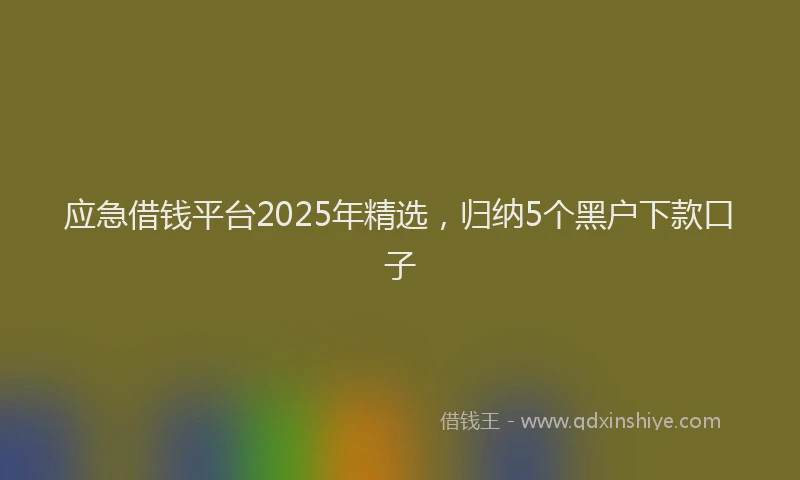 应急借钱平台2025年精选，归纳5个黑户下款口子