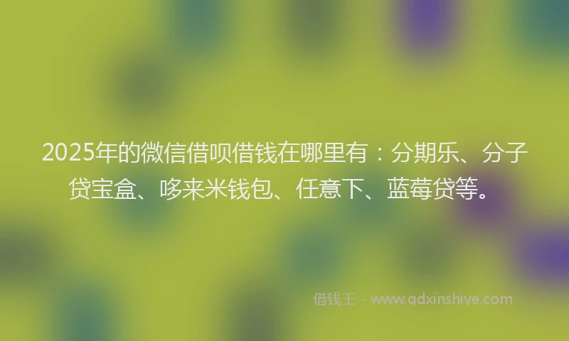 2025年的微信借呗借钱在哪里有：分期乐、分子贷宝盒、哆来米钱包、任意下、蓝莓贷等。