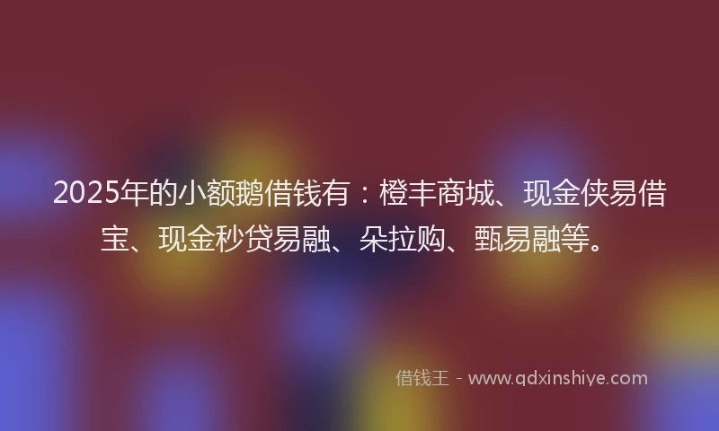 2025年的小额鹅借钱有：橙丰商城、现金侠易借宝、现金秒贷易融、朵拉购、甄易融等。