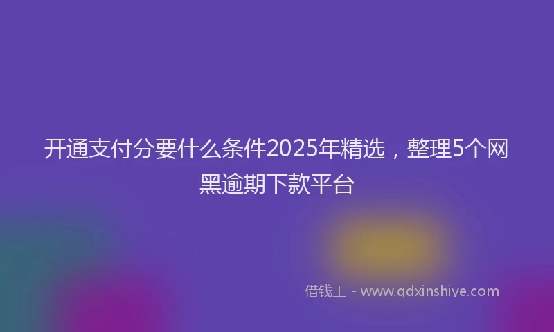 开通支付分要什么条件2025年精选，整理5个网黑逾期下款平台