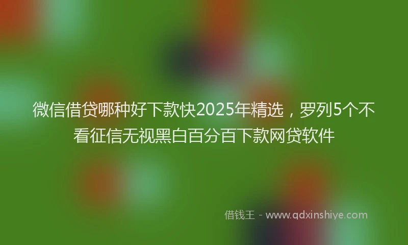微信借贷哪种好下款快2025年精选，罗列5个不看征信无视黑白百分百下款网贷软件