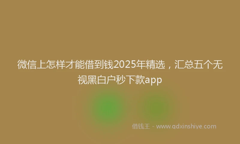 微信上怎样才能借到钱2025年精选，汇总五个无视黑白户秒下款app