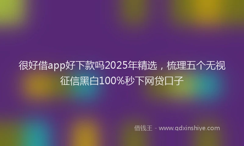 很好借app好下款吗2025年精选，梳理五个无视征信黑白100%秒下网贷口子