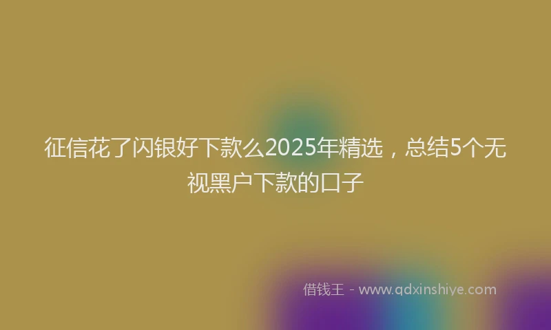 征信花了闪银好下款么2025年精选，总结5个无视黑户下款的口子