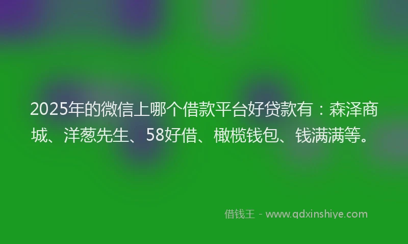 2025年的微信上哪个借款平台好贷款有：森泽商城、洋葱先生、58好借、橄榄钱包、钱满满等。