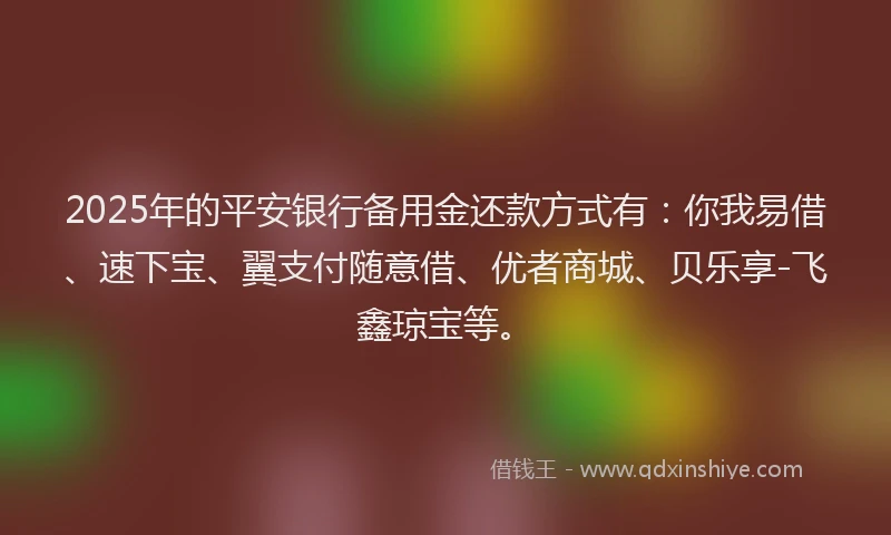 2025年的平安银行备用金还款方式有：你我易借、速下宝、翼支付随意借、优者商城、贝乐享-飞鑫琼宝等。