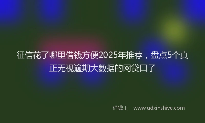 征信花了哪里借钱方便2025年推荐，盘点5个真正无视逾期大数据的网贷口子