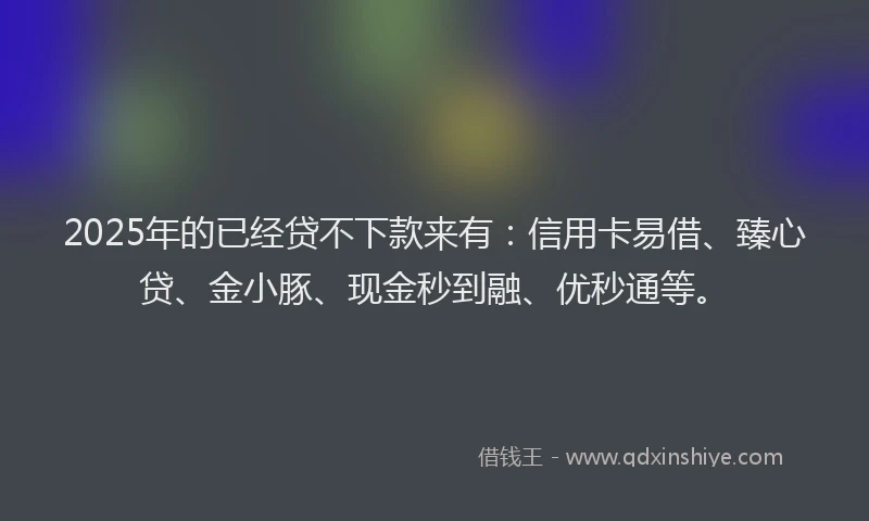2025年的已经贷不下款来有：信用卡易借、臻心贷、金小豚、现金秒到融、优秒通等。