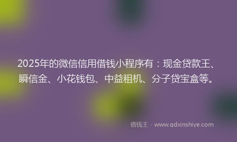 2025年的微信信用借钱小程序有：现金贷款王、瞬信金、小花钱包、中益租机、分子贷宝盒等。