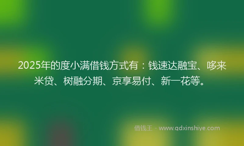2025年的度小满借钱方式有：钱速达融宝、哆来米贷、树融分期、京享易付、新一花等。