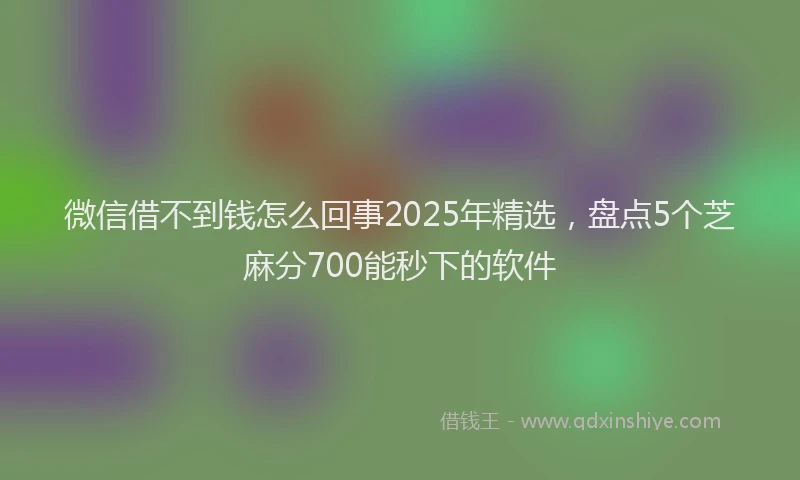 微信借不到钱怎么回事2025年精选，盘点5个芝麻分700能秒下的软件