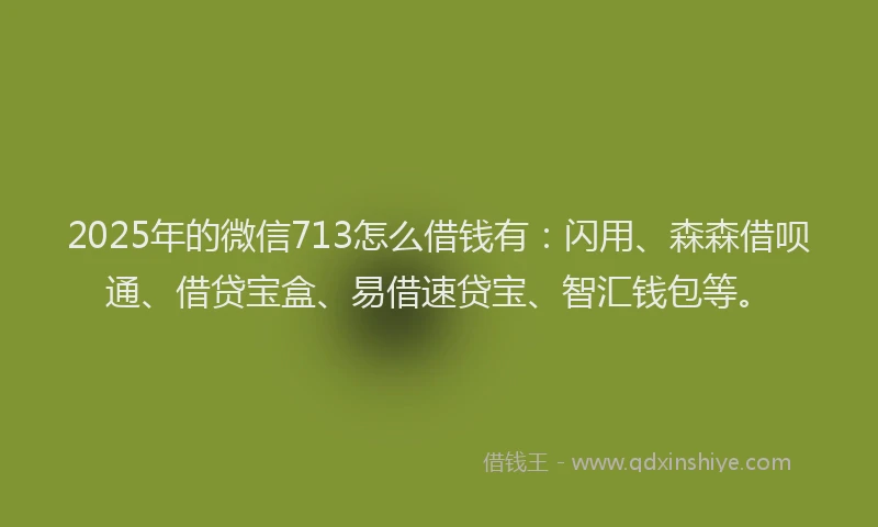 2025年的微信713怎么借钱有：闪用、森森借呗通、借贷宝盒、易借速贷宝、智汇钱包等。
