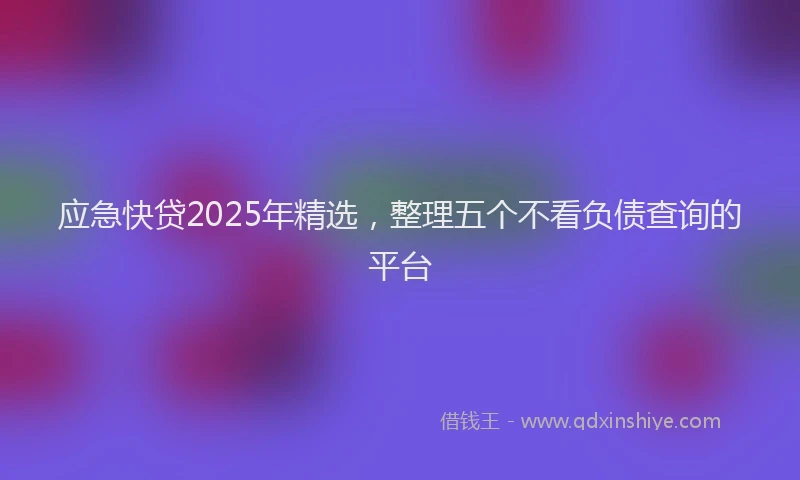 应急快贷2025年精选，整理五个不看负债查询的平台