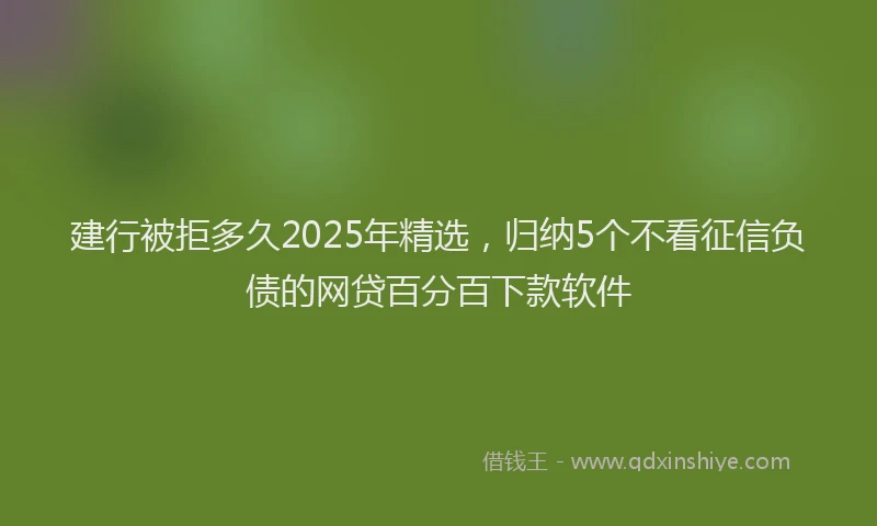 建行被拒多久2025年精选，归纳5个不看征信负债的网贷百分百下款软件