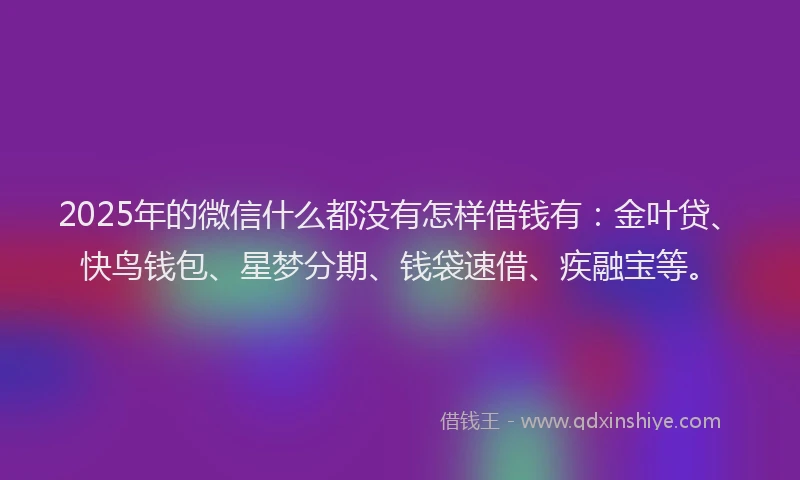 2025年的微信什么都没有怎样借钱有：金叶贷、快鸟钱包、星梦分期、钱袋速借、疾融宝等。