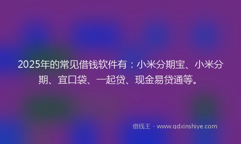 2025年的常见借钱软件有：小米分期宝、小米分期、宜口袋、一起贷、现金易贷通等。