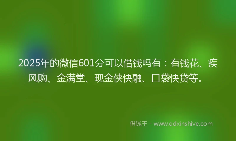 2025年的微信601分可以借钱吗有：有钱花、疾风购、金满堂、现金侠快融、口袋快贷等。