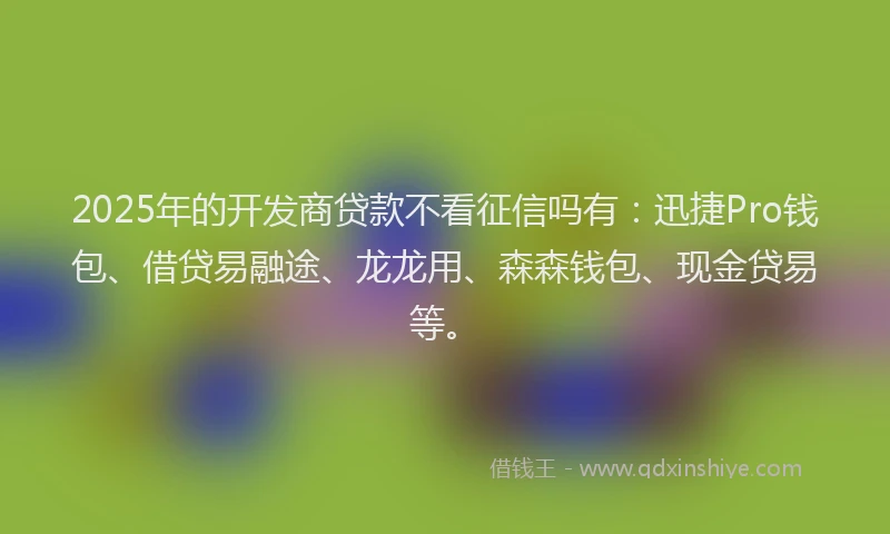 2025年的开发商贷款不看征信吗有：迅捷Pro钱包、借贷易融途、龙龙用、森森钱包、现金贷易等。