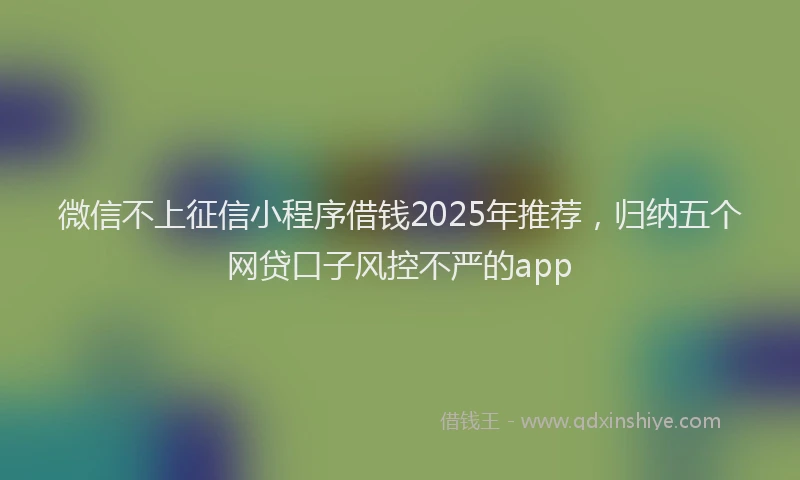 微信不上征信小程序借钱2025年推荐，归纳五个网贷口子风控不严的app