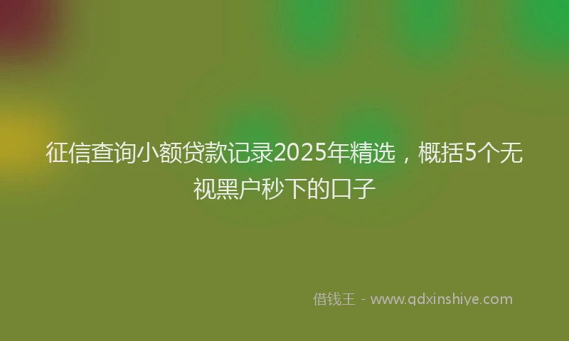 征信查询小额贷款记录2025年精选，概括5个无视黑户秒下的口子