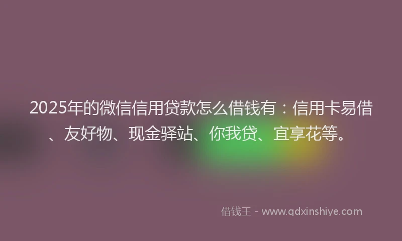 2025年的微信信用贷款怎么借钱有：信用卡易借、友好物、现金驿站、你我贷、宜享花等。