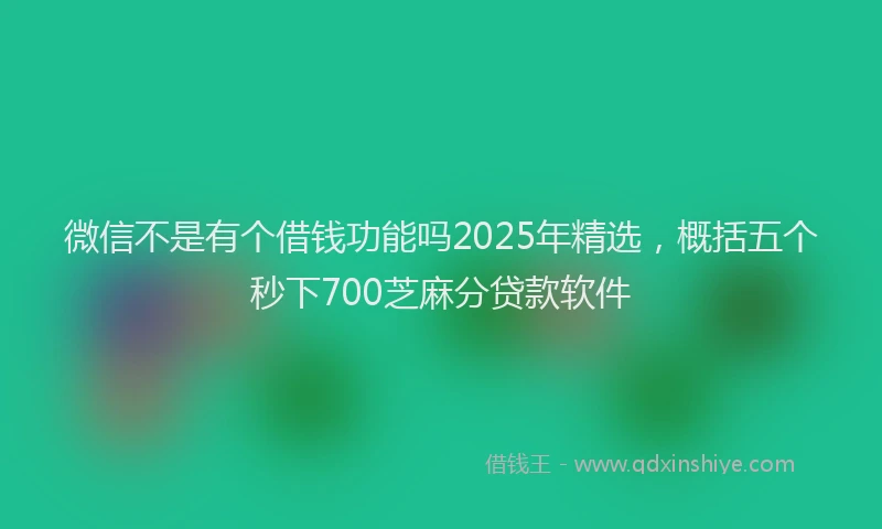 微信不是有个借钱功能吗2025年精选，概括五个秒下700芝麻分贷款软件