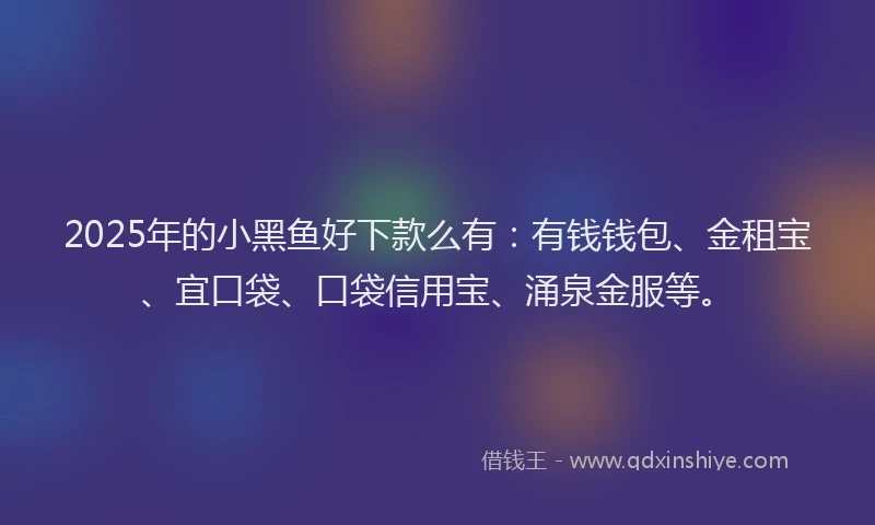 2025年的小黑鱼好下款么有：有钱钱包、金租宝、宜口袋、口袋信用宝、涌泉金服等。