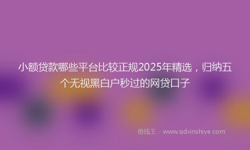 小额贷款哪些平台比较正规2025年精选，归纳五个无视黑白户秒过的网贷口子
