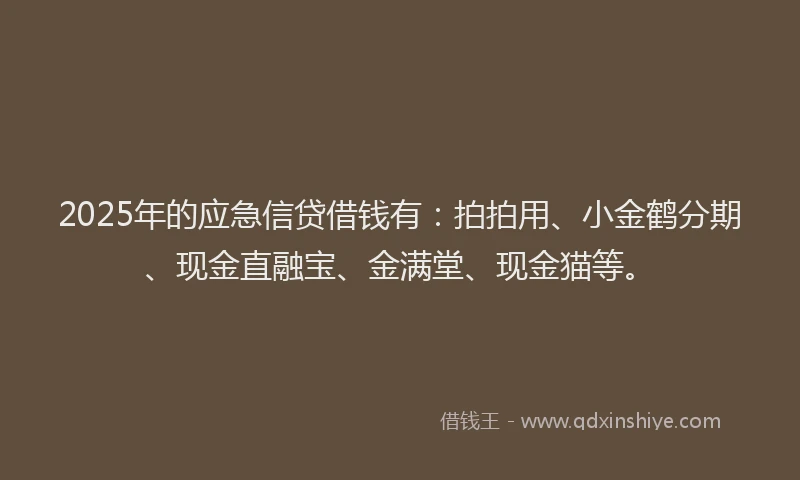 2025年的应急信贷借钱有：拍拍用、小金鹤分期、现金直融宝、金满堂、现金猫等。