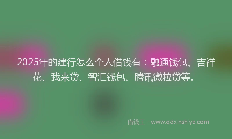 2025年的建行怎么个人借钱有：融通钱包、吉祥花、我来贷、智汇钱包、腾讯微粒贷等。