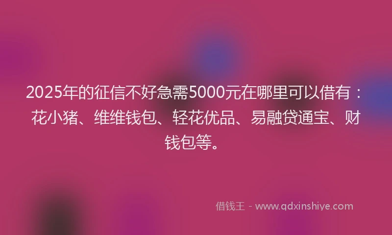 2025年的征信不好急需5000元在哪里可以借有：花小猪、维维钱包、轻花优品、易融贷通宝、财钱包等。