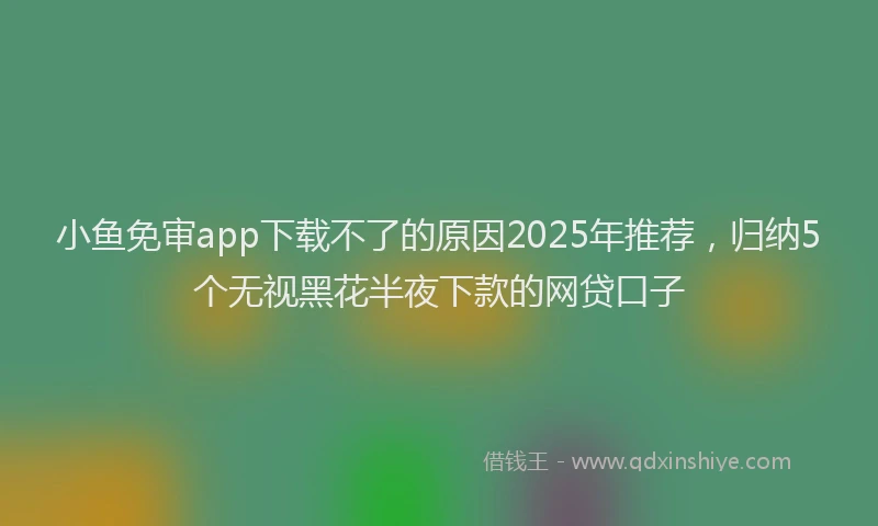 小鱼免审app下载不了的原因2025年推荐，归纳5个无视黑花半夜下款的网贷口子
