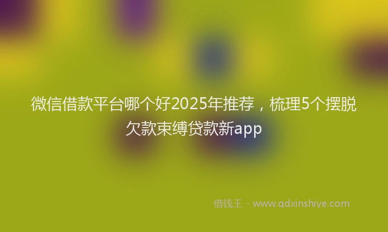 微信借款平台哪个好2025年推荐，梳理5个摆脱欠款束缚贷款新app