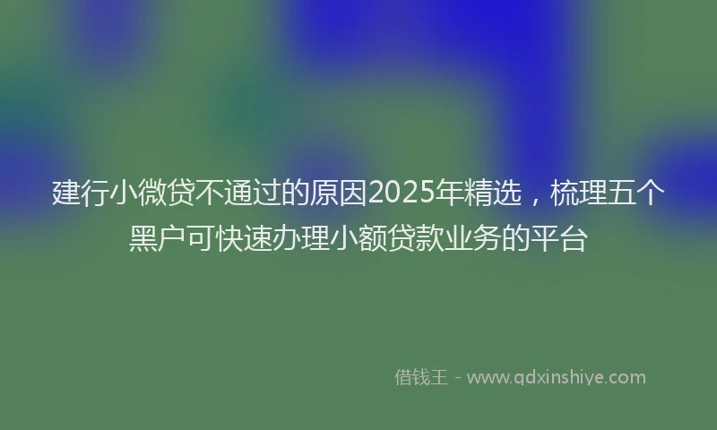 建行小微贷不通过的原因2025年精选，梳理五个黑户可快速办理小额贷款业务的平台