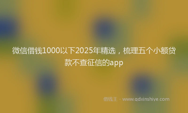 微信借钱1000以下2025年精选，梳理五个小额贷款不查征信的app