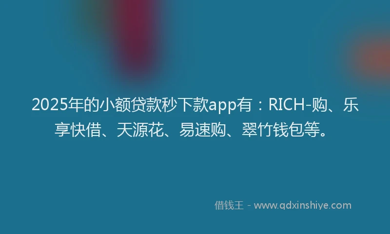 2025年的小额贷款秒下款app有：RICH-购、乐享快借、天源花、易速购、翠竹钱包等。