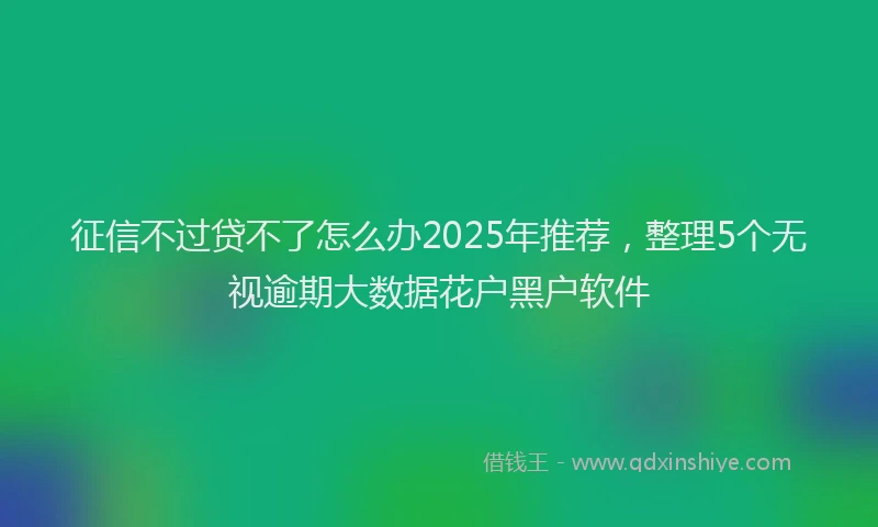 征信不过贷不了怎么办2025年推荐，整理5个无视逾期大数据花户黑户软件