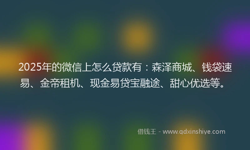 2025年的微信上怎么贷款有：森泽商城、钱袋速易、金帝租机、现金易贷宝融途、甜心优选等。