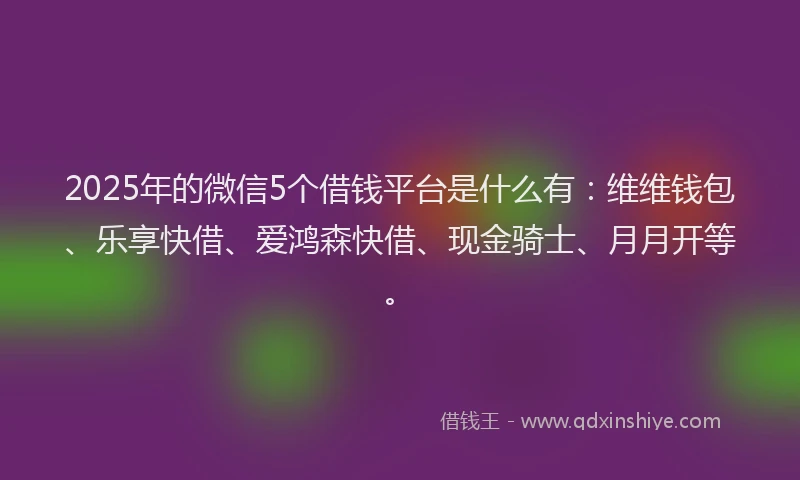 2025年的微信5个借钱平台是什么有：维维钱包、乐享快借、爱鸿森快借、现金骑士、月月开等。