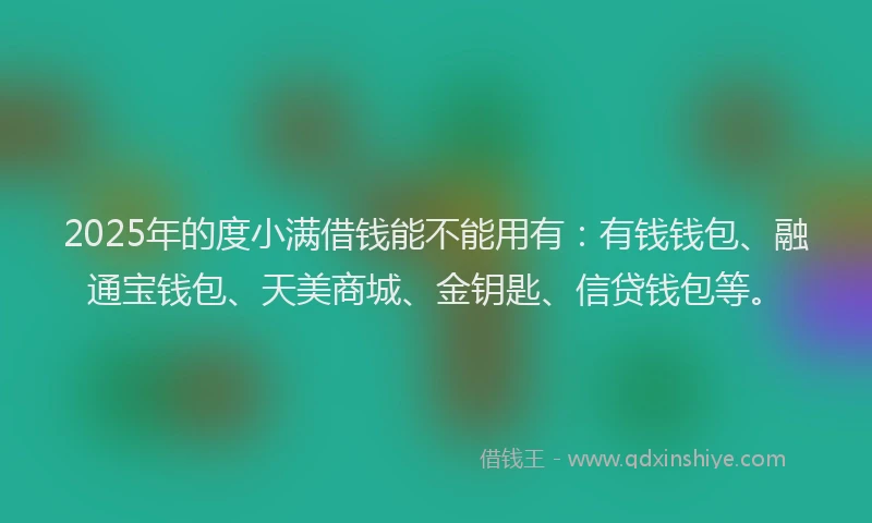 2025年的度小满借钱能不能用有：有钱钱包、融通宝钱包、天美商城、金钥匙、信贷钱包等。
