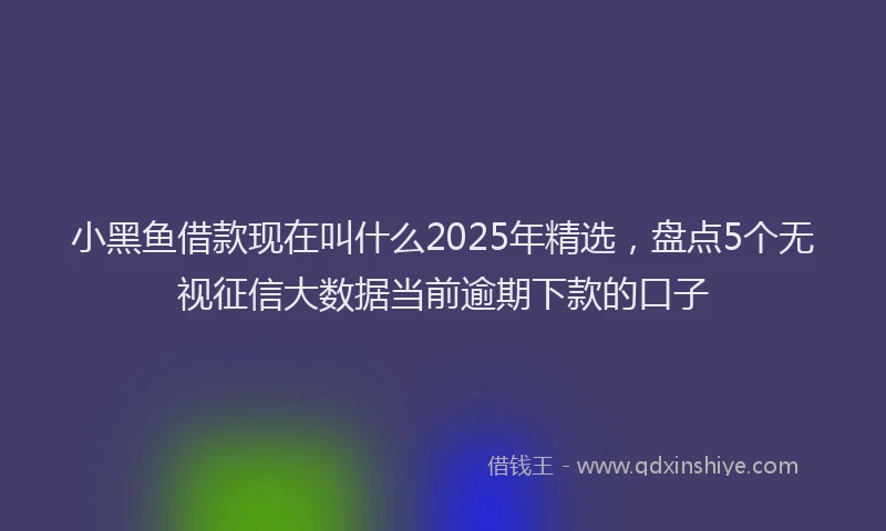 小黑鱼借款现在叫什么2025年精选，盘点5个无视征信大数据当前逾期下款的口子