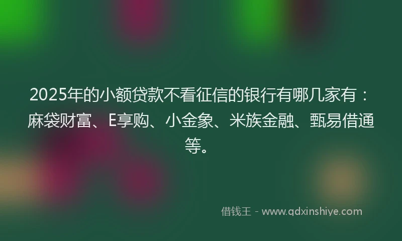 2025年的小额贷款不看征信的银行有哪几家有：麻袋财富、E享购、小金象、米族金融、甄易借通等。