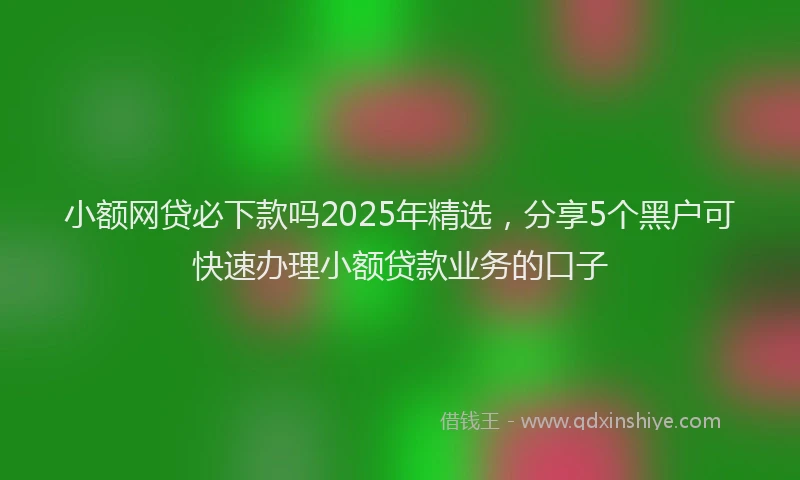 小额网贷必下款吗2025年精选，分享5个黑户可快速办理小额贷款业务的口子