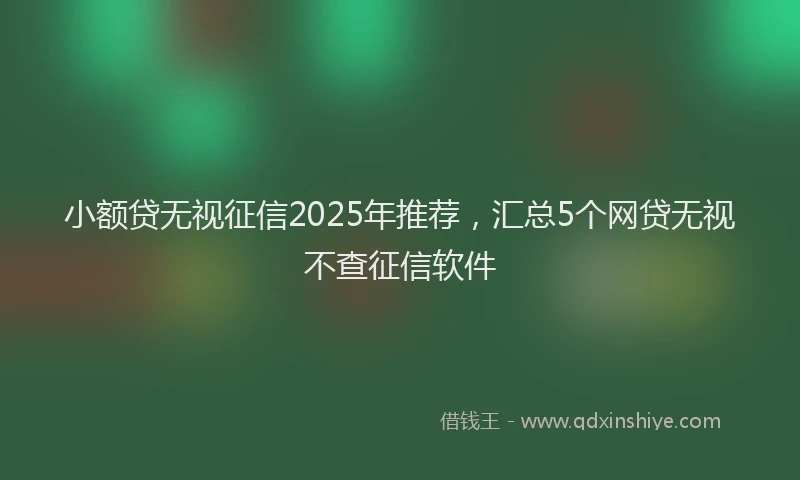 小额贷无视征信2025年推荐，汇总5个网贷无视不查征信软件