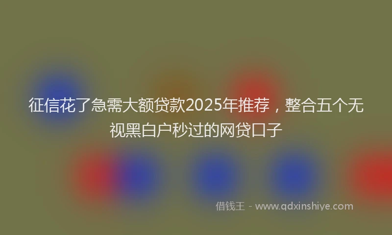 征信花了急需大额贷款2025年推荐，整合五个无视黑白户秒过的网贷口子